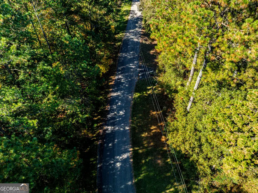 1151 Caboose Court, Greensboro, GA 30642 - Image #3