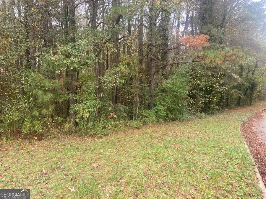 0 Chimney Smoke Drive, Stockbridge, GA 30281 - Image #3