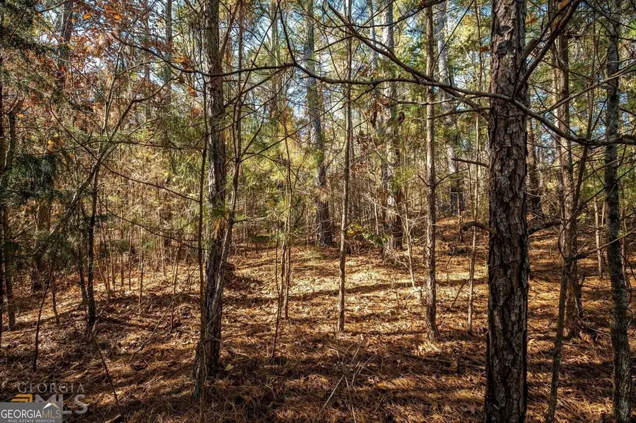 1941 Kingsland Way, Bishop, GA 30621 - Image #3