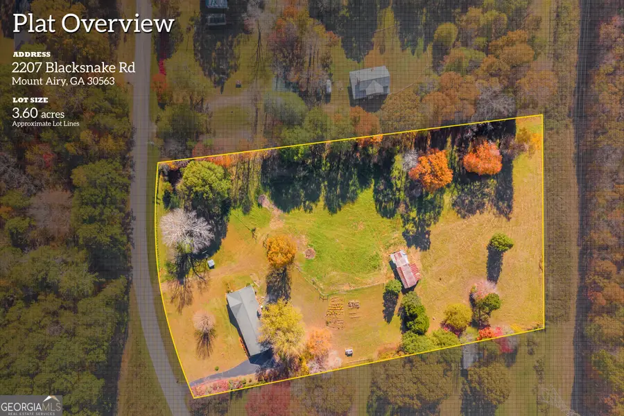 2207 Blacksnake Road, Mount Airy, GA 30563 - Image #2