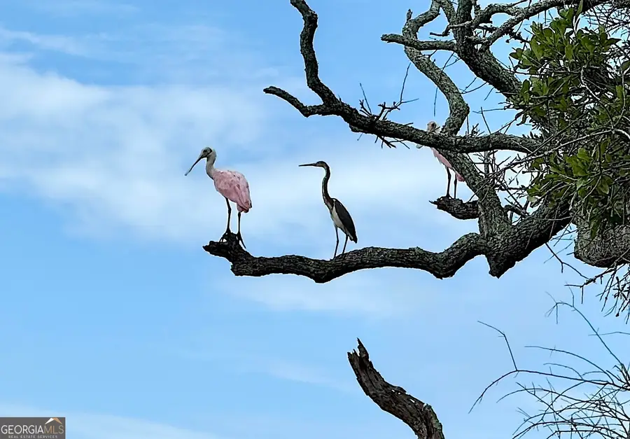 308 Cumberland Harbour Boulevard, Saint Marys, GA 31558 - Image #2