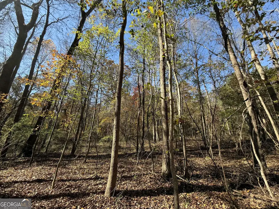 1 Lem Edwards Road, Colbert, GA 30628 - Image #3