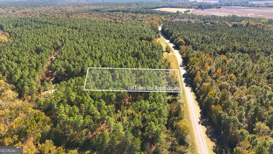 LOT 2 Middle Ground Church, Chester, GA 31012 - Image #3