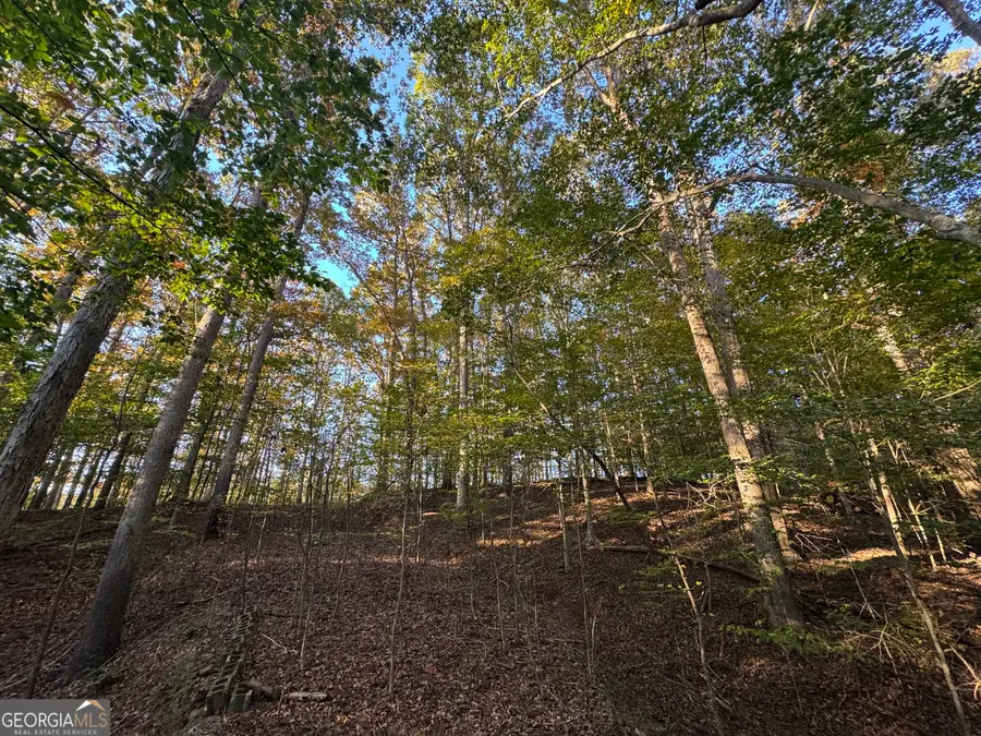 5.88 Royston Bypass, Royston, GA 30662 - Image #2