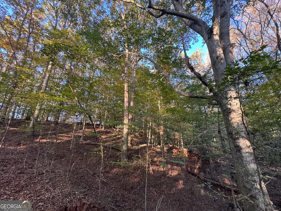 5.88 Royston Bypass, Royston, GA 30662 - Image #3