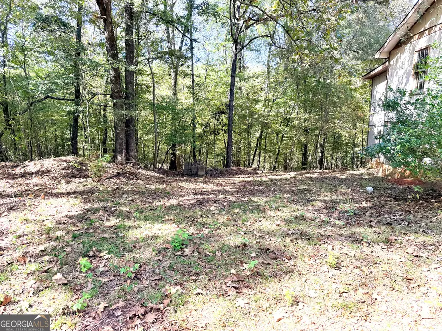 0 Towaliga South Road, Jackson, GA 30233 - Image #3