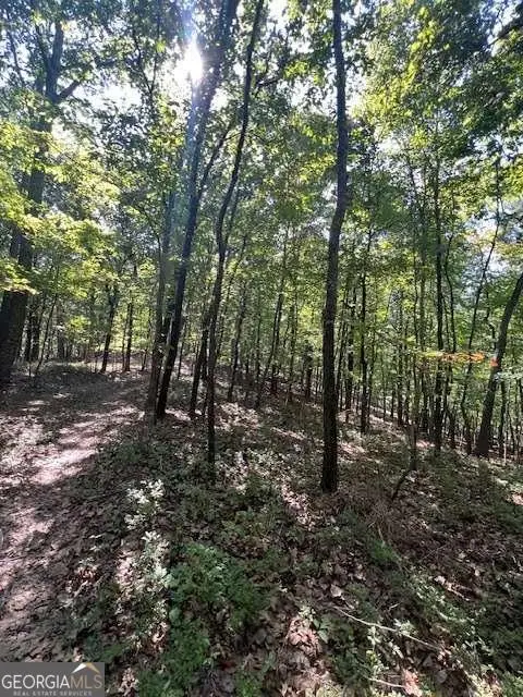 0 Vinson Mountain Road, Rockmart, GA 30153 - Image #3