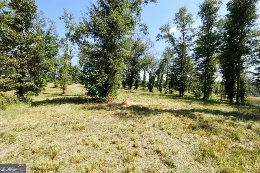 0 Walters Road #TRACT 5, Barnesville, GA 30204 - Image #3