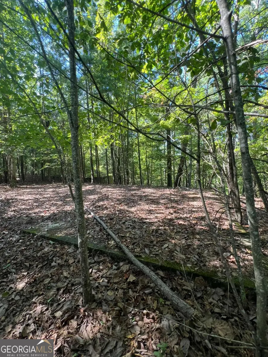 0 Vinson Mountain Road, Rockmart, GA 30153 - Image #2