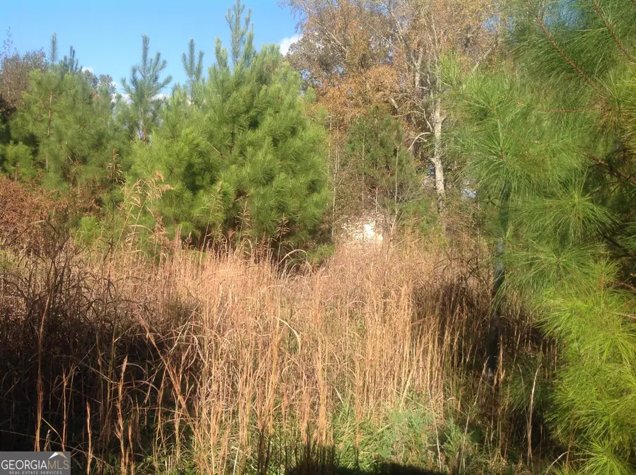 190 Weaver Road, Haddock, GA 31033 - Image #3