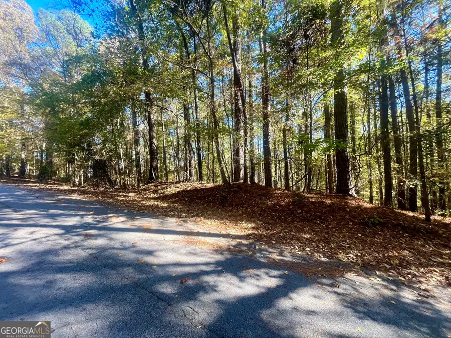 0 Chickadee Ct Court #209, Monticello, GA 31064 - Image #3