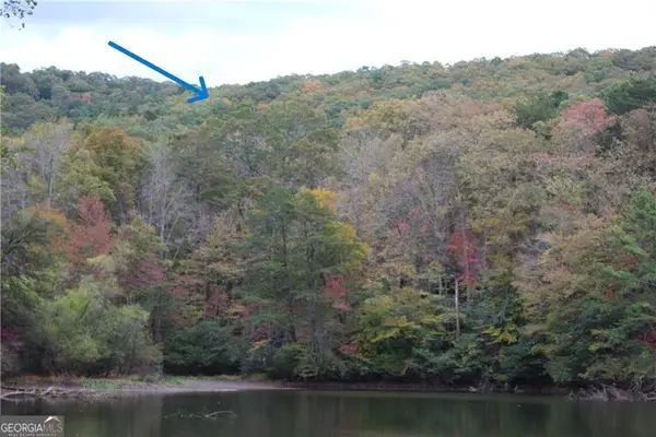 LOT 19 Owl Mountain Road, Ellijay, GA 30540