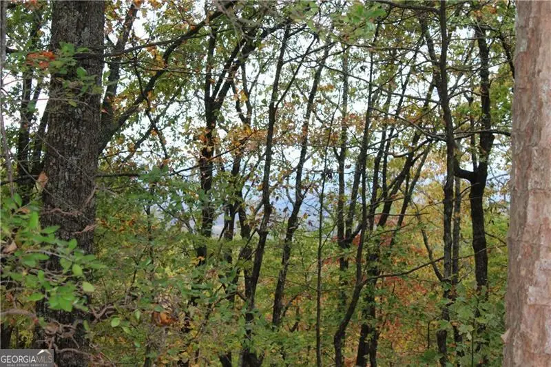 LOT 19 Owl Mountain Road, Ellijay, GA 30540 - Image #3