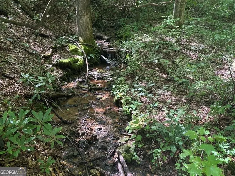 9 65AC Wilkins Cove Road, Suches, GA 30572 - Image #2