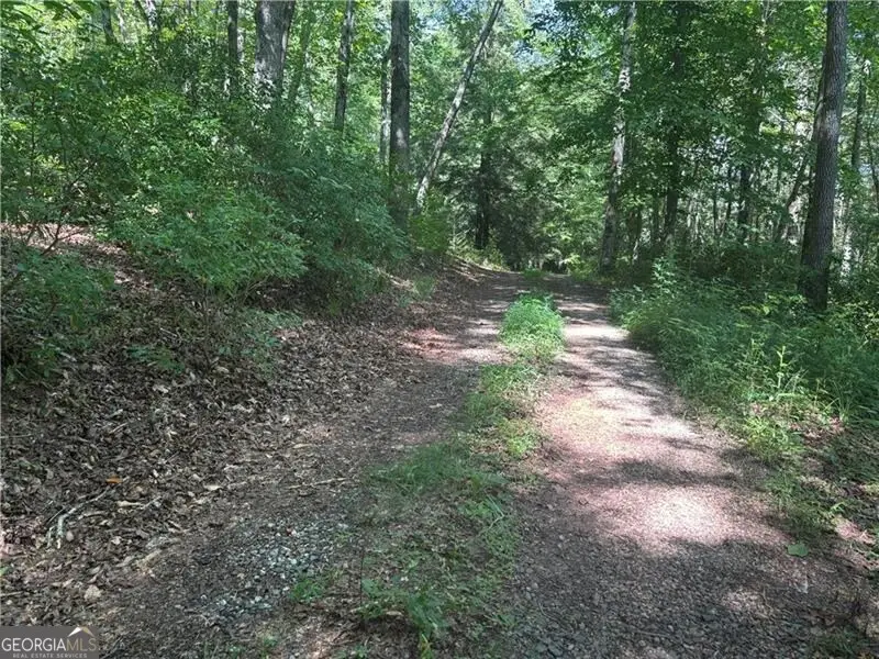 9 65AC Wilkins Cove Road, Suches, GA 30572 - Image #3