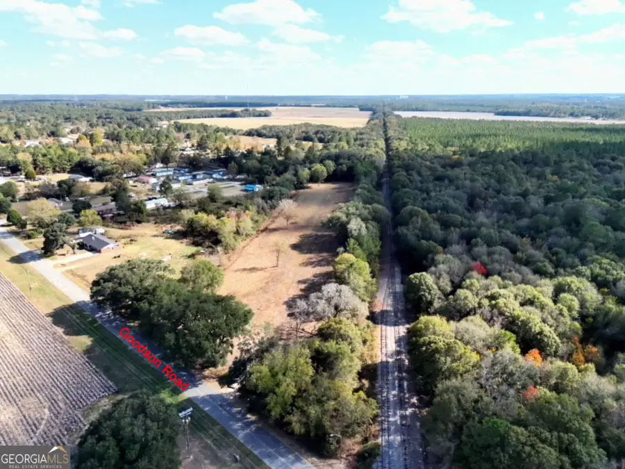 0 Goodson Road, Pelham, GA 31779 - Image #2