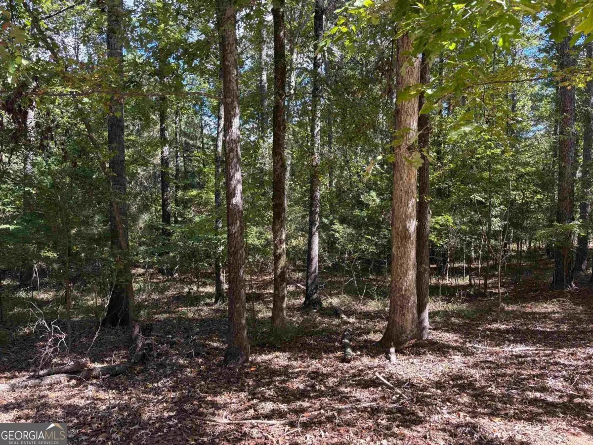 105 Porterfield Drive, Eatonton, GA 31024 - Image #1