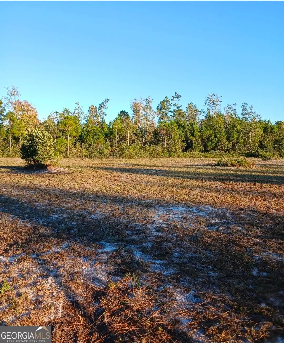 395 Mill Branch, Folkston, GA 31537 - Image #1