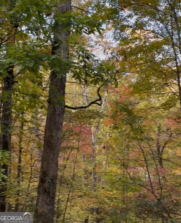 33 Eagle Ridge, Ball Ground, GA 30107