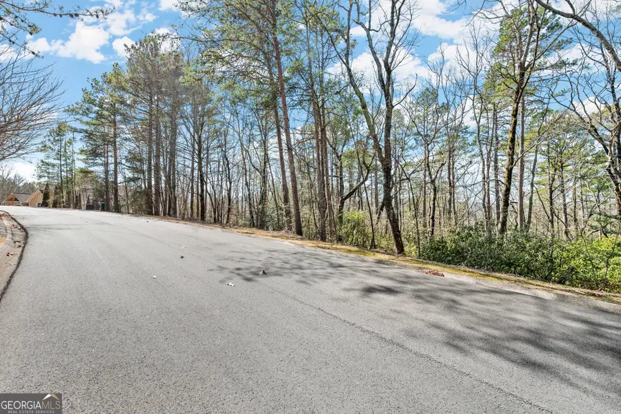 0 Golden Delicious Road, Clarkesville, GA 30523 - Image #3