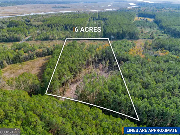 58 Magnolia Plantation, White Oak, GA 31568