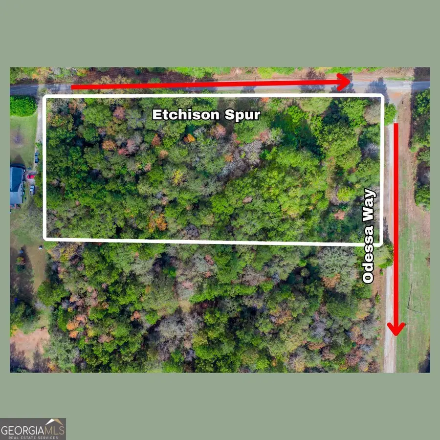 0 Etchison Spur, Loganville, GA 30052 - Image #2