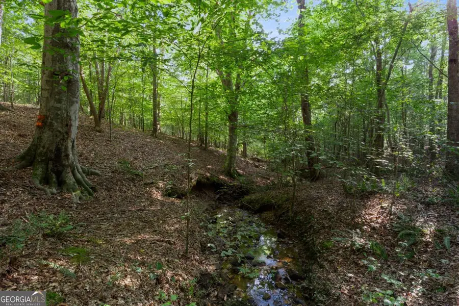 1348 Barwick Hill Road, Comer, GA 30629 - Image #3