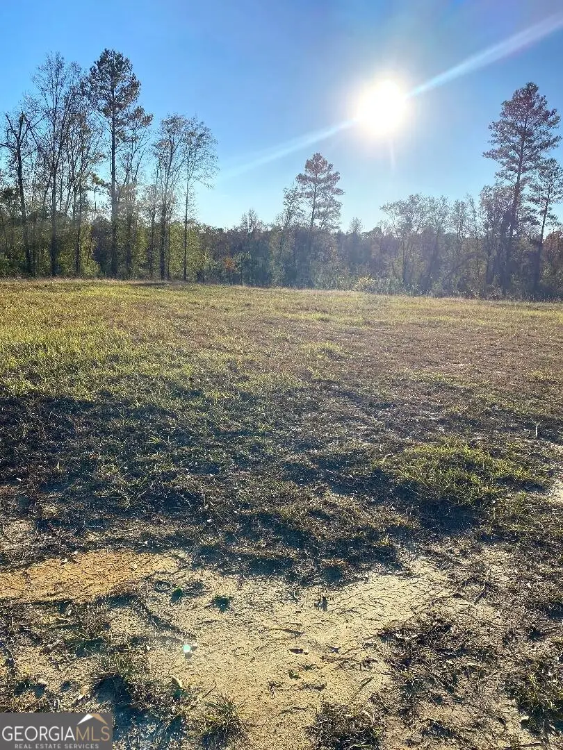 0 Modoc Road, Swainsboro, GA 30401 - Image #3