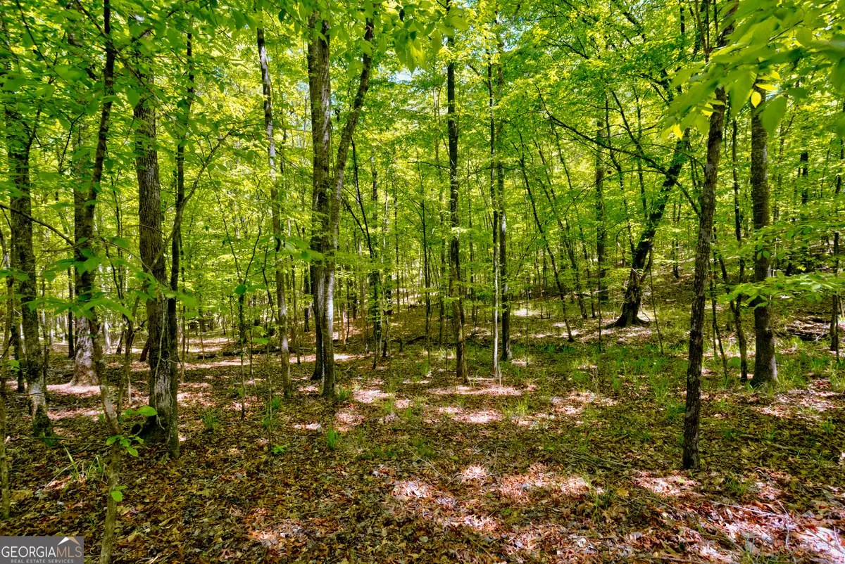 98 ACRES +/- George Smith, Talbotton, GA 31827 - Image #1