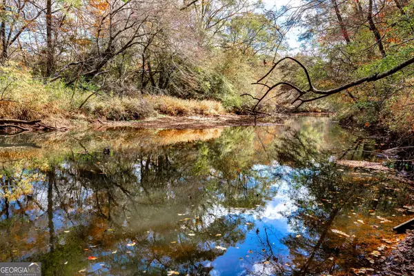 0 Morgan Mill Rd, Senoia, GA 30276