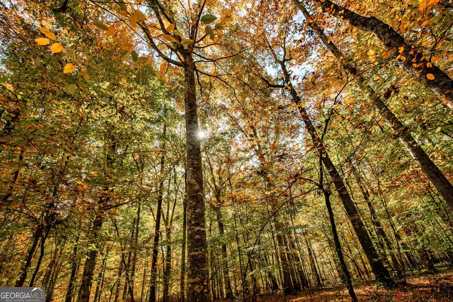 0 Morgan Mill Rd, Senoia, GA 30276 - Image #2