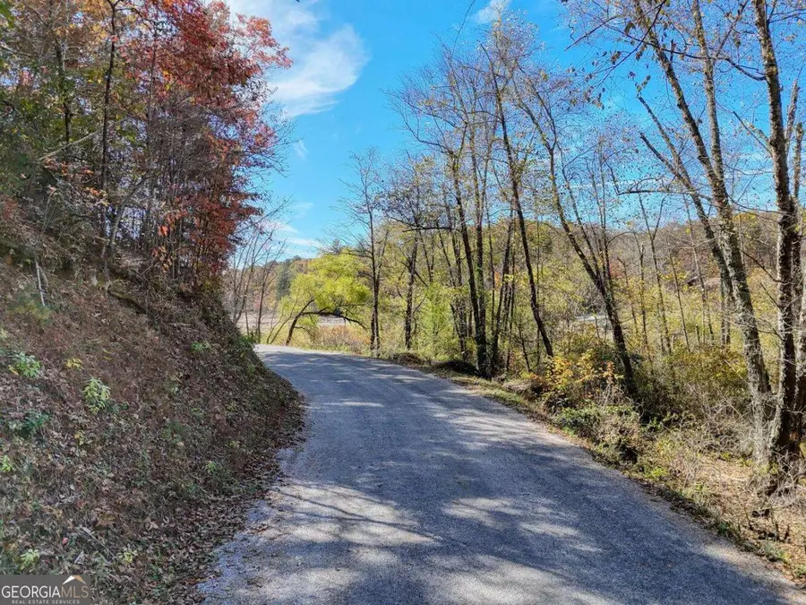 2.24 AC Lower Star Creek Road, Morganton, GA 30560 - Image #2