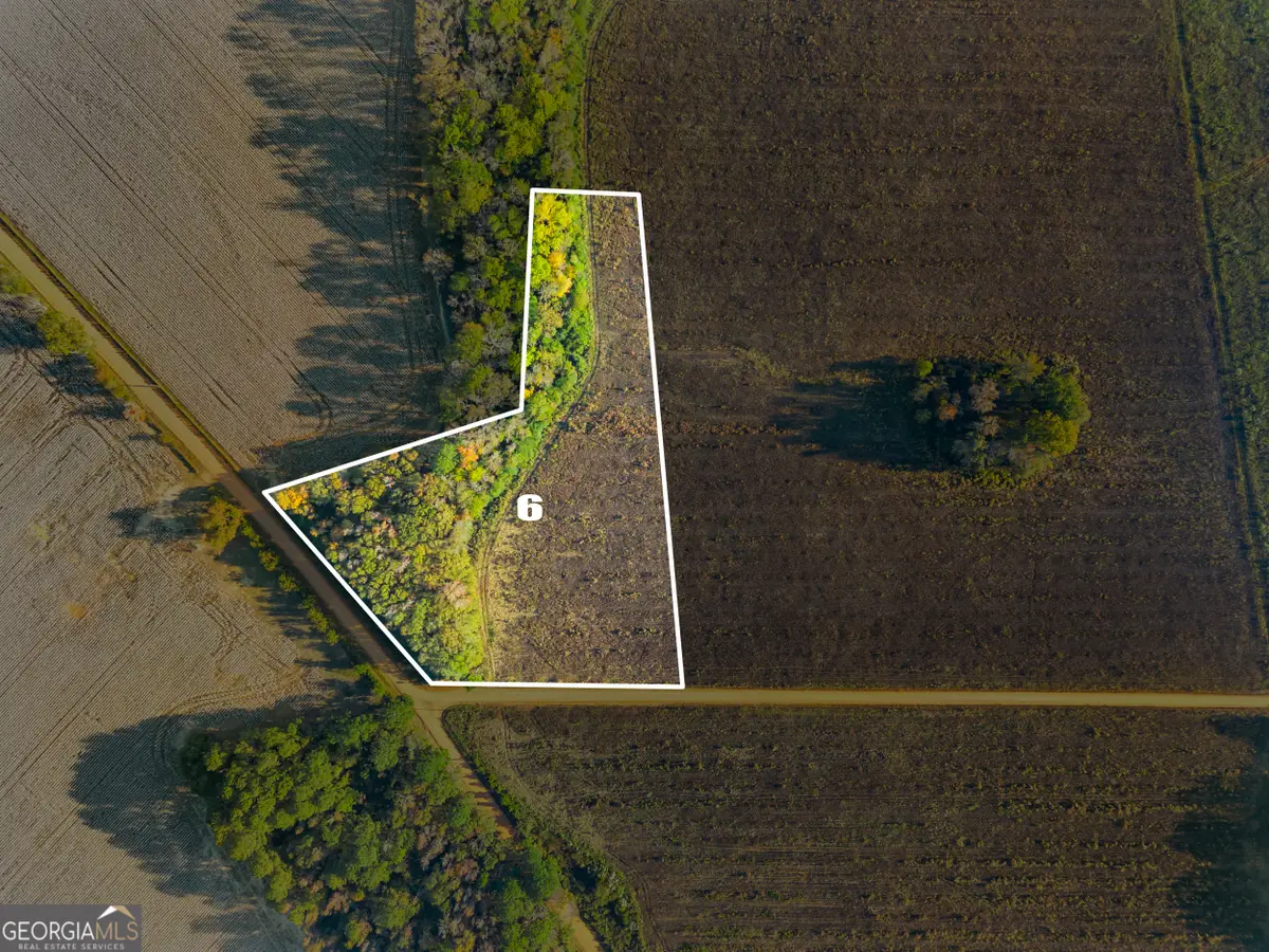 0 Waters Lane #LOT 6, Claxton, GA 30417 - Image #1