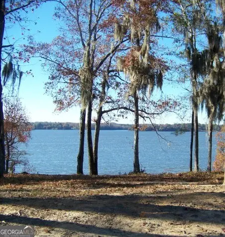 0 Point Drive #LOT 2, 3, 4, Georgetown, GA 39854
