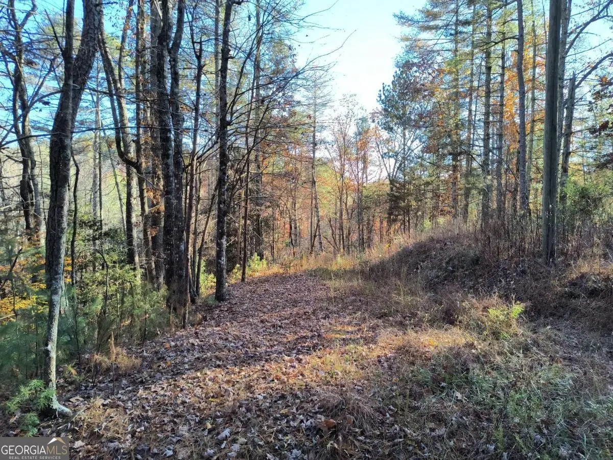 LOT 627 Novel Court #627, Ellijay, GA 30540 - Image #1