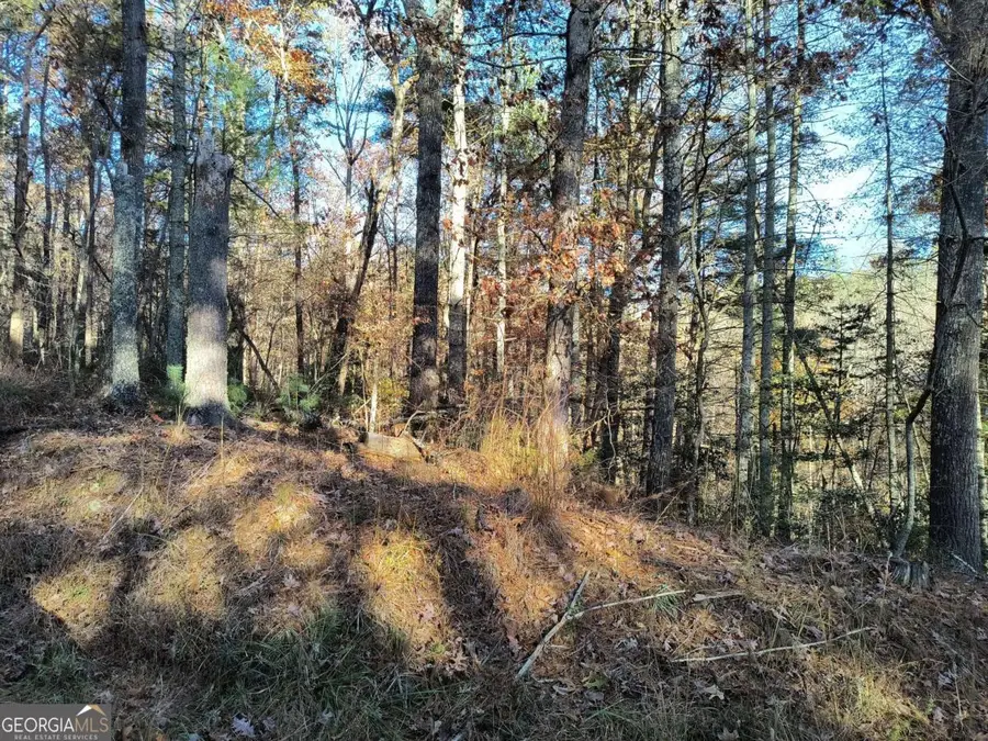 LOT 627 Novel Court #627, Ellijay, GA 30540 - Image #2
