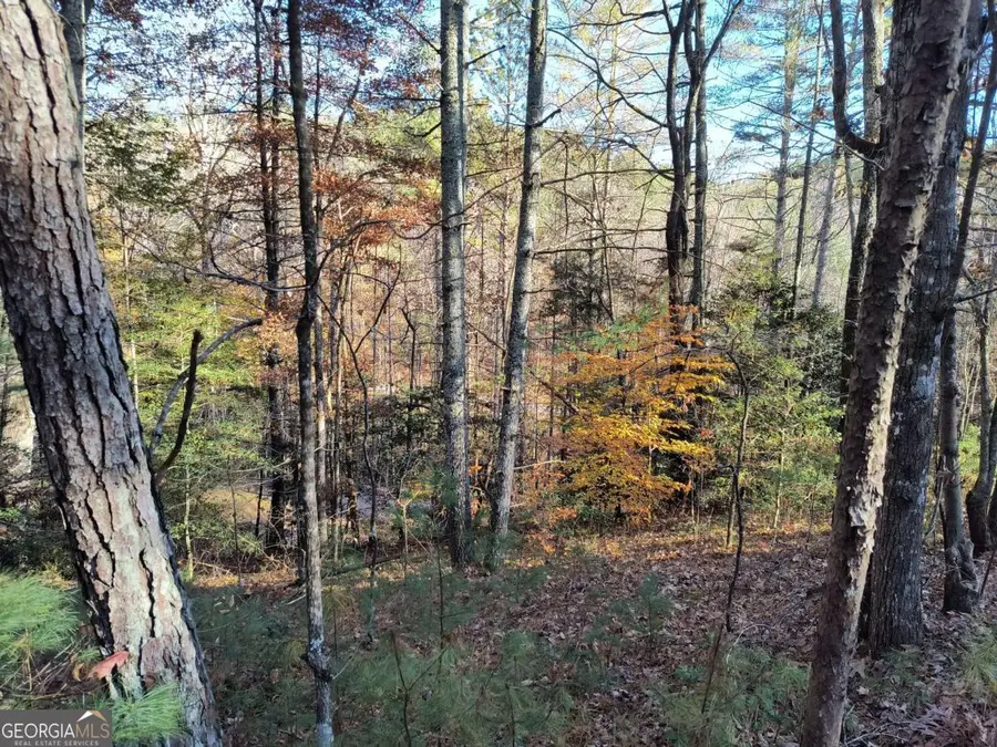 LOT 627 Novel Court #627, Ellijay, GA 30540 - Image #3