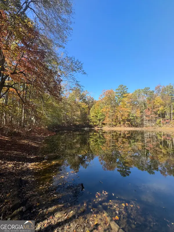 2184 Jones Mill Road, Whitesburg, GA 30185