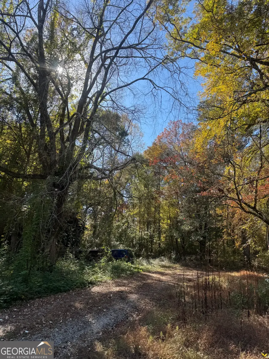 2184 Jones Mill Road, Whitesburg, GA 30185 - Image #3