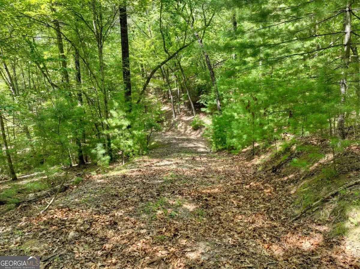 LOT 68 Riverwalk On The Toc #68, Mineral Bluff, GA 30559 - Image #1