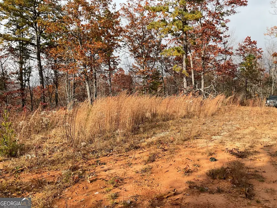 0 Lynn Drive, Clayton, GA 30525 - Image #3