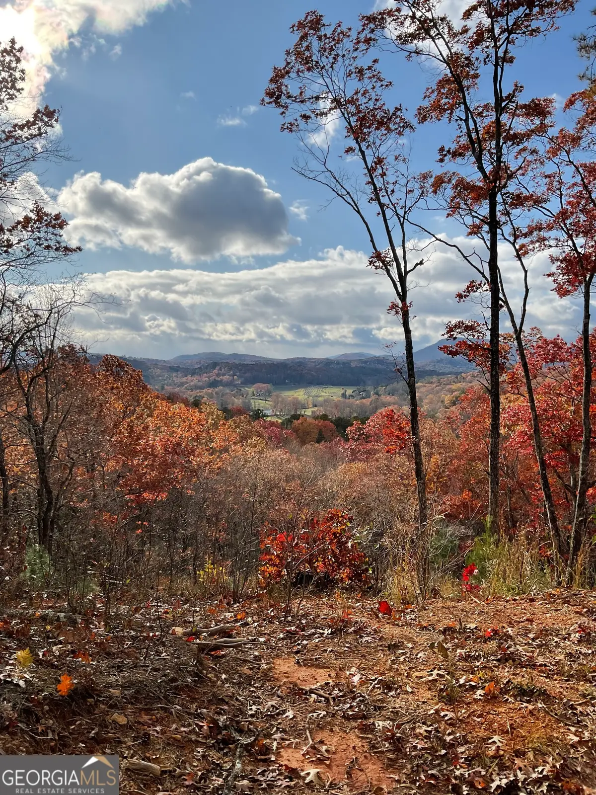 0 Lynn Drive, Clayton, GA 30525 - Image #1