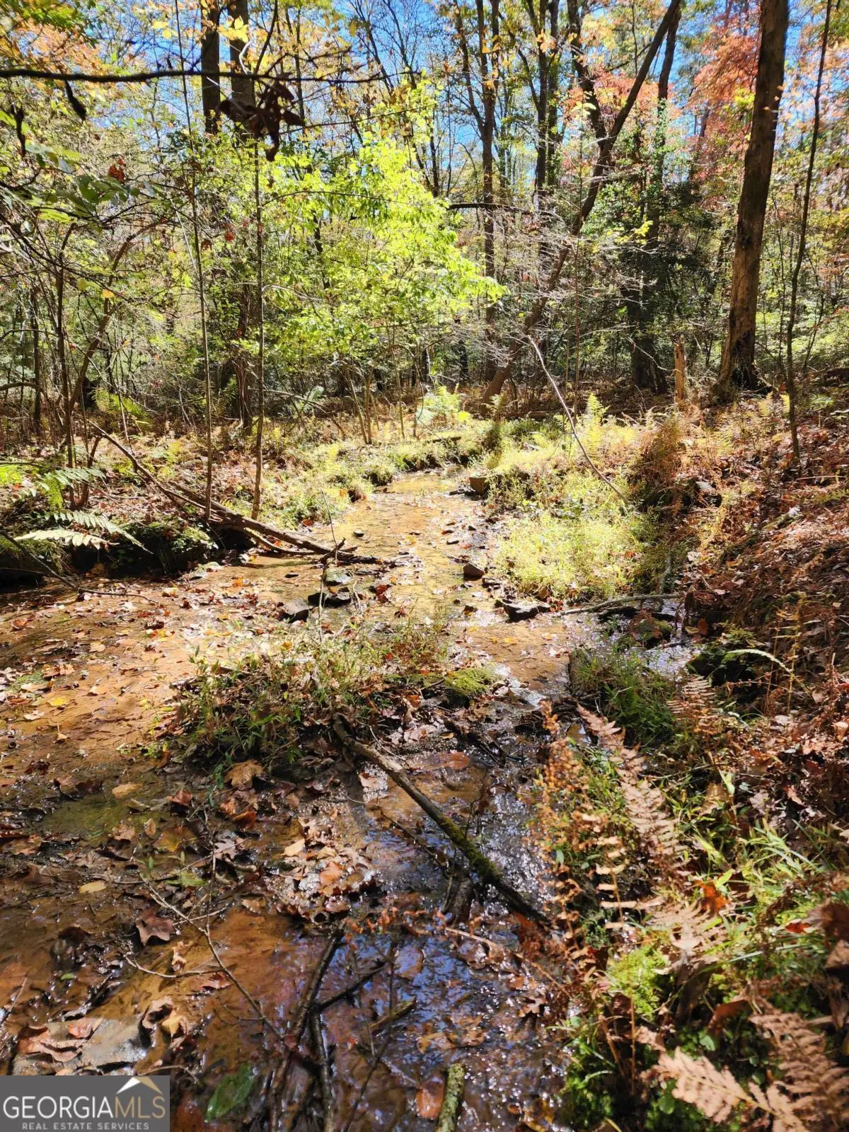 0 Grace Drive, Blue Ridge, GA 30513 - Image #1