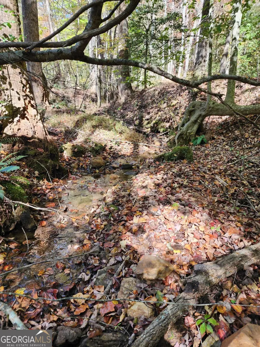 0 Grace Drive, Blue Ridge, GA 30513 - Image #2