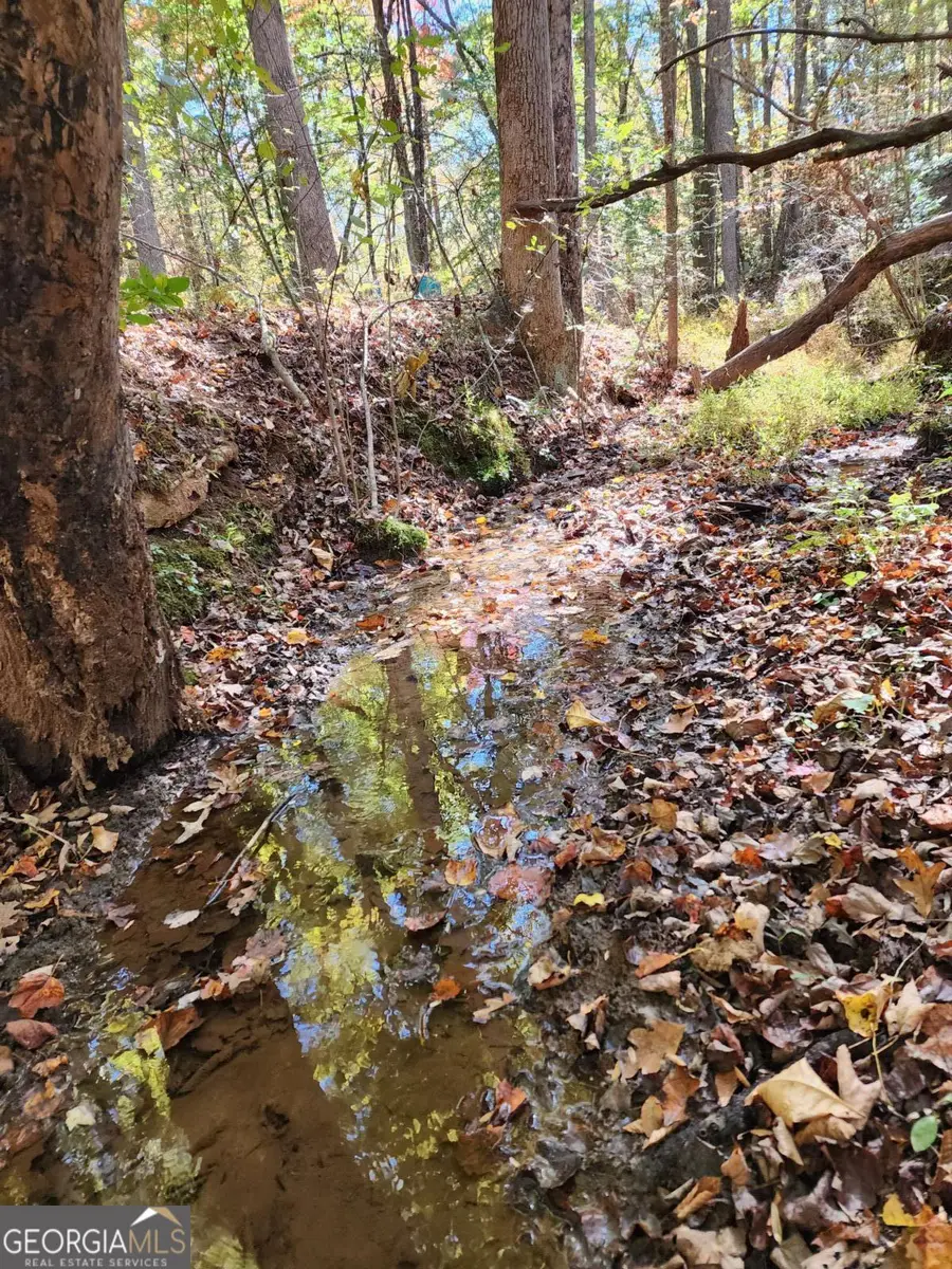 0 Grace Drive, Blue Ridge, GA 30513 - Image #3