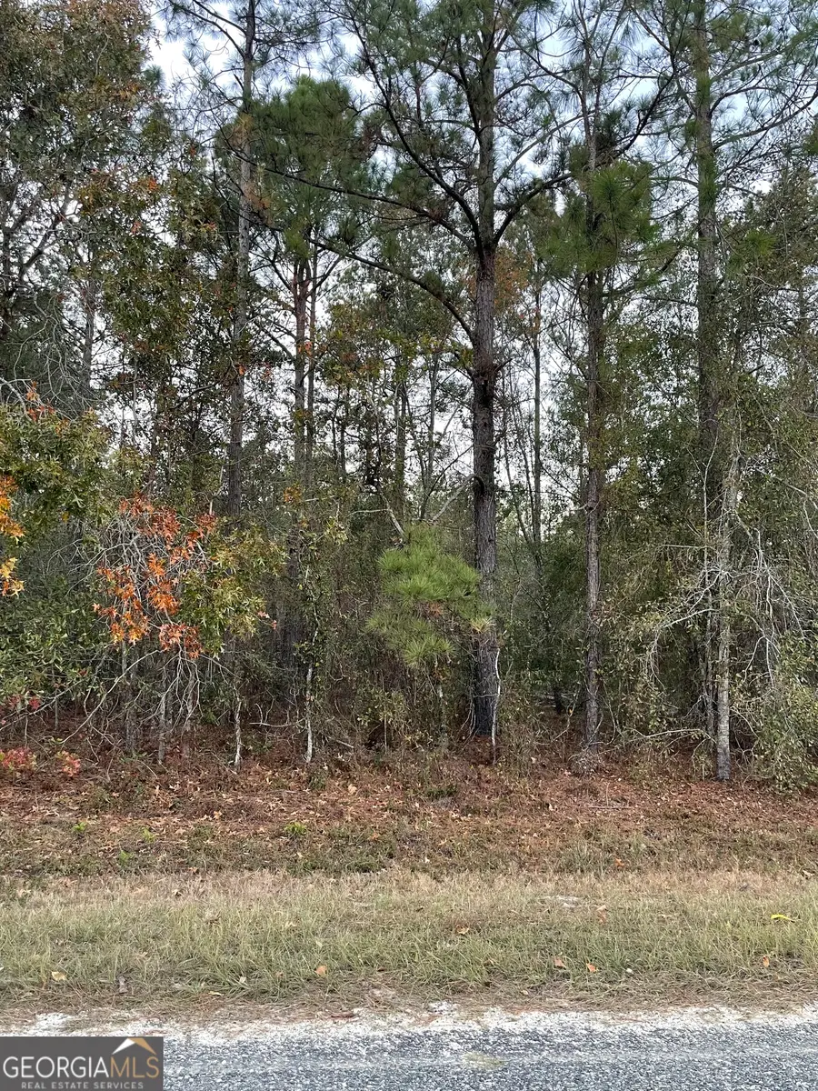 0 Shuffletown Road, Twin City, GA 30471 - Image #3