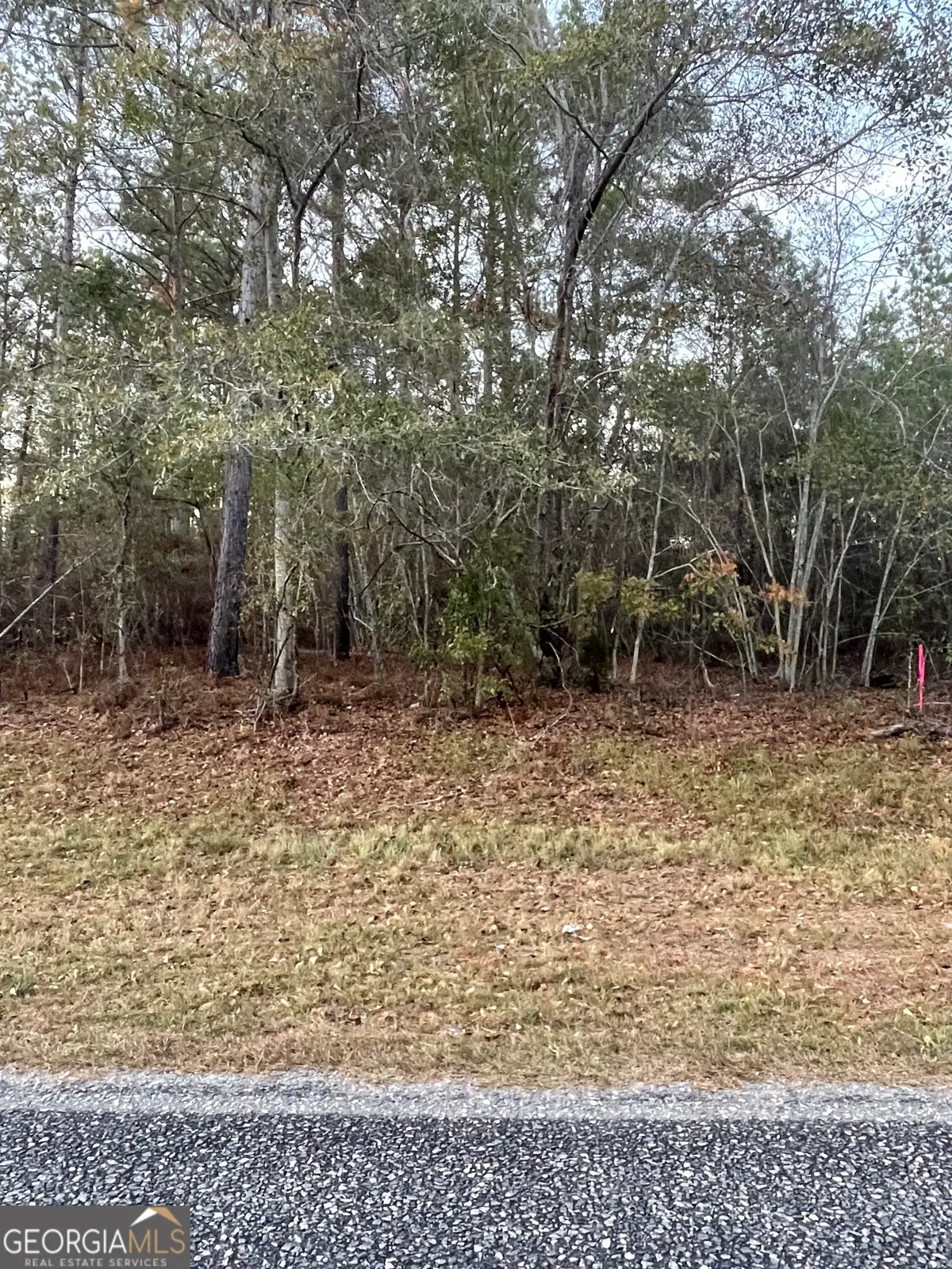 0 Canoochee Bypass Road, Twin City, GA 30471 - Image #1