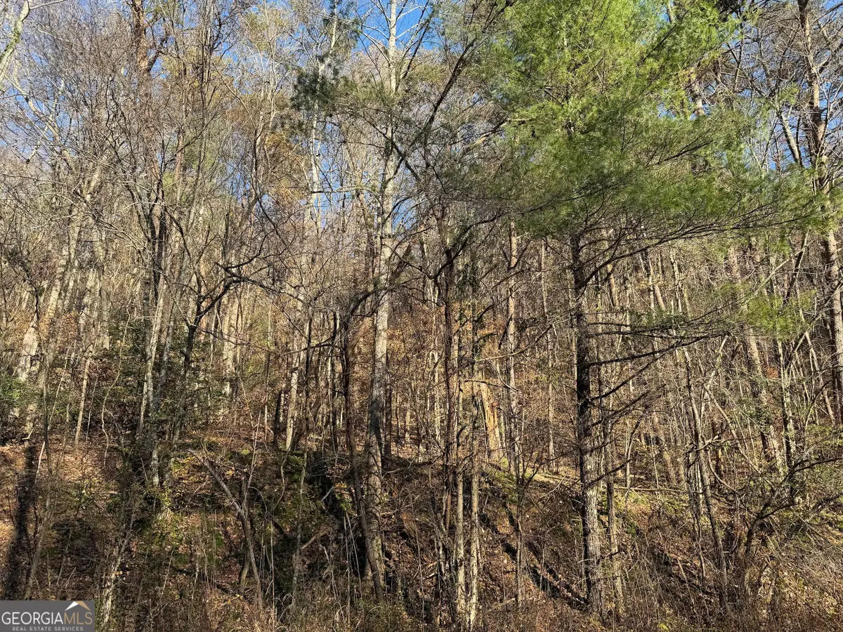 0 Whitepath Road, Ellijay, GA 30540 - Image #1