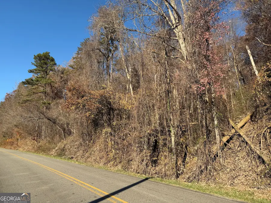 0 Whitepath Road, Ellijay, GA 30540 - Image #2