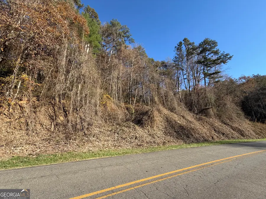 0 Whitepath Road, Ellijay, GA 30540 - Image #3